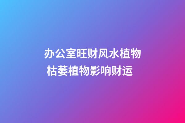 办公室旺财风水植物 枯萎植物影响财运